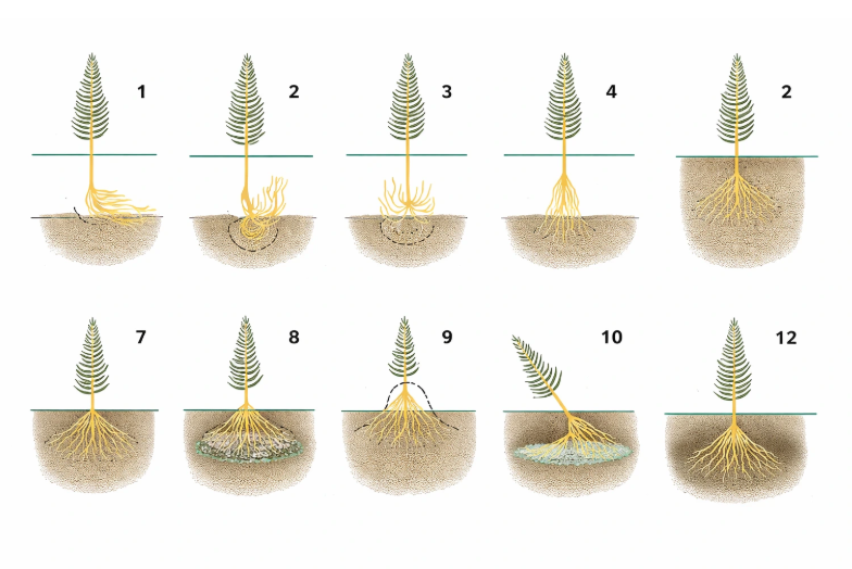 Screenshot 2026-01-28 151336